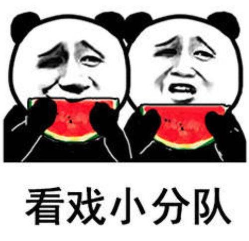 娱乐圈吃瓜猛料 娱乐新闻播报视频 吃瓜的表情包,吃瓜猛料、新闻播报与表情包狂欢