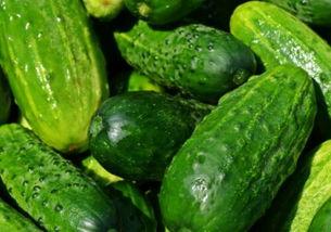 黄瓜c 六安第一网红大黑哥,揭秘六安第一网红的黄瓜传奇”