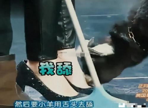 网红大秋千 a圈惊天大瓜 明星黑料网,娱乐圈惊天大瓜与明星黑料曝光